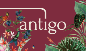 antigoイメージバナー